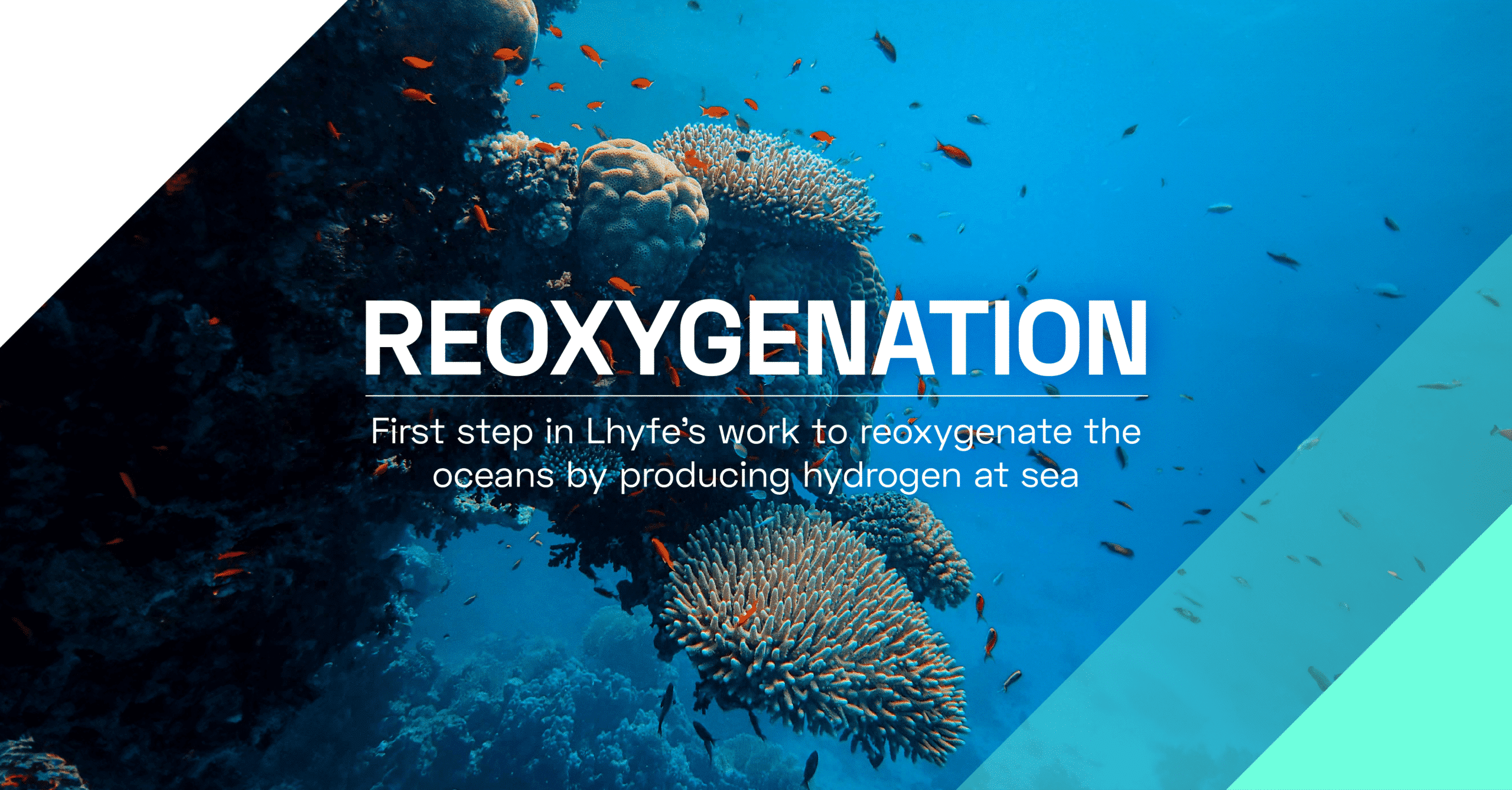 Lhyfe franchit une première étape dans son travail de réoxygénation des océans !